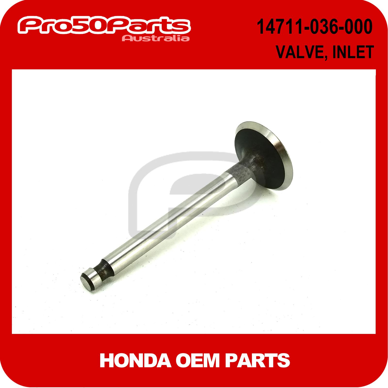 (Honda OEM) Z50 Valve, Inlet