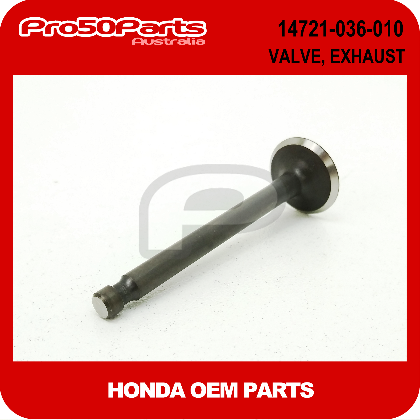 (Honda OEM) Z50 Valve, Exhaust