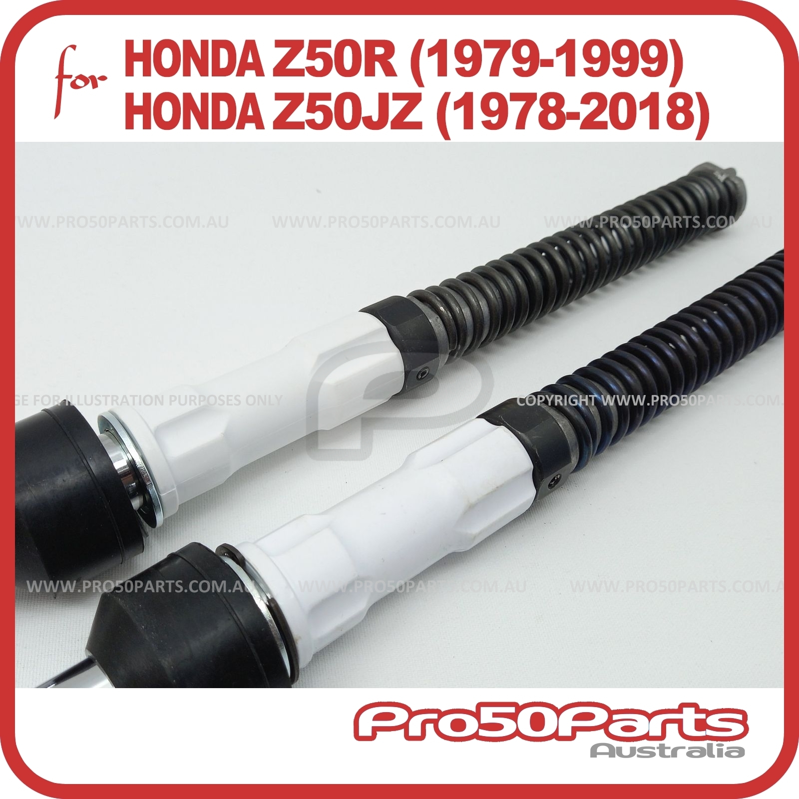 ZR181-2301-490-00.jpg?
