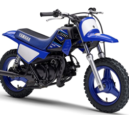 Yamaha PW50
