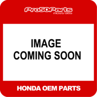 (Honda OEM) SEAL, CAM CHAIN CHAMBER