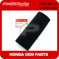 (Honda OEM) ELEMENT, AIR CLEANER
