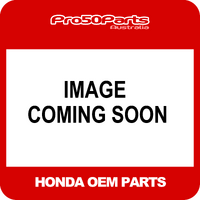 (Honda OEM NOS) FUEL TANK COMP