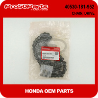 (Honda OEM) CHAIN DRIVE (76L)