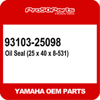 (Yamaha OEM) PW80 - Oil Seal (25 X 40 X 8-531)