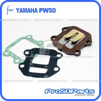 (PW50) - Reed Valve Assy And Gasket Valve Seat