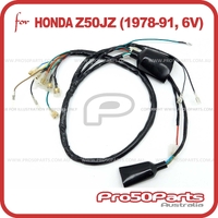 (Z50JZ) Wire Harness, 6v