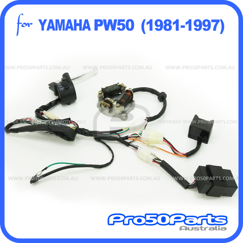 (PW50) - Complete Electrical Assy (1981-97)