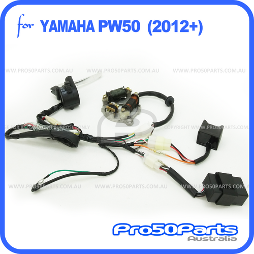 (PW50) - Complete Electrical Assy (2012-current)