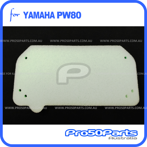 (PW80) - Air Filter Element