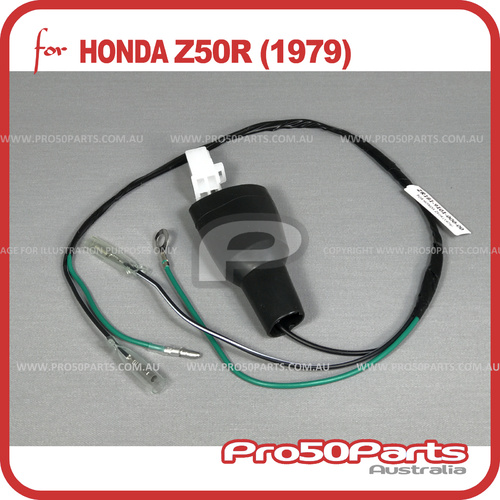 (Z50R 79) Wire Harness