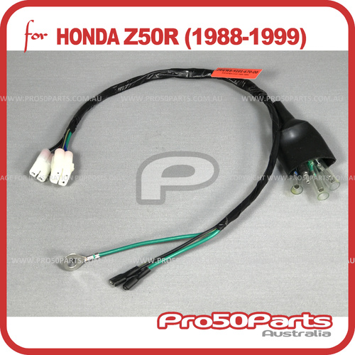 (Z50R 88-99) Wire Harness